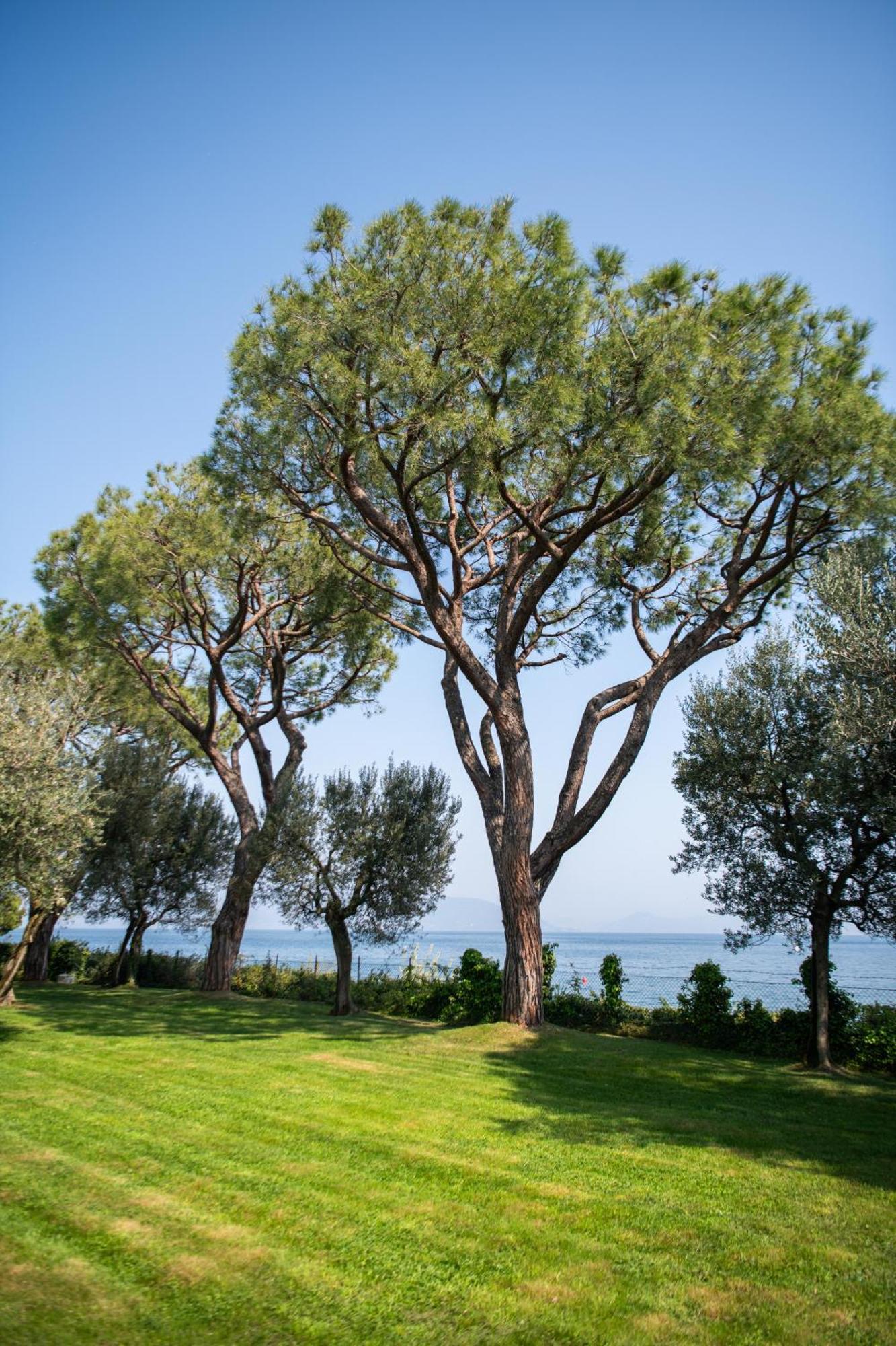 Villa Elena Manerba del Garda Exterior photo